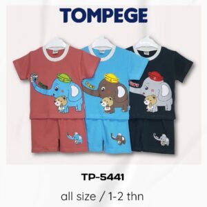 Setelan Oblong Anak Laki-Laki Tompege TP-5441