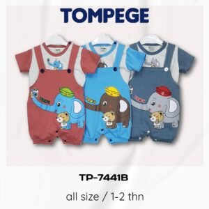 Setelan Jumpsuit Anak Laki Laki Tompege TP-7441B