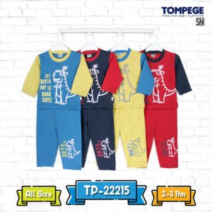 Setelan Piyama Baju Anak Laki Cowok DINO TP-22215 B