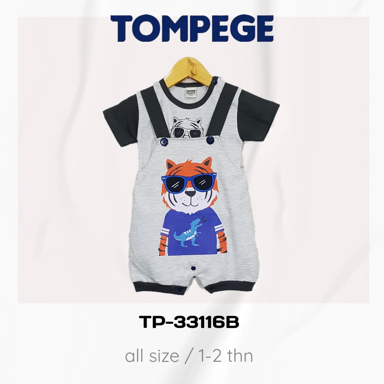 TP-3116B-AM.jpeg