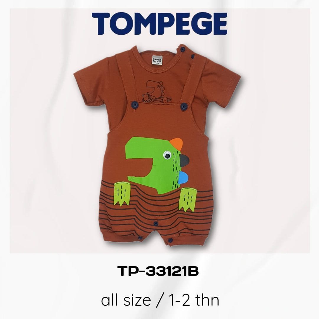 TP-33121B-BATA.jpeg