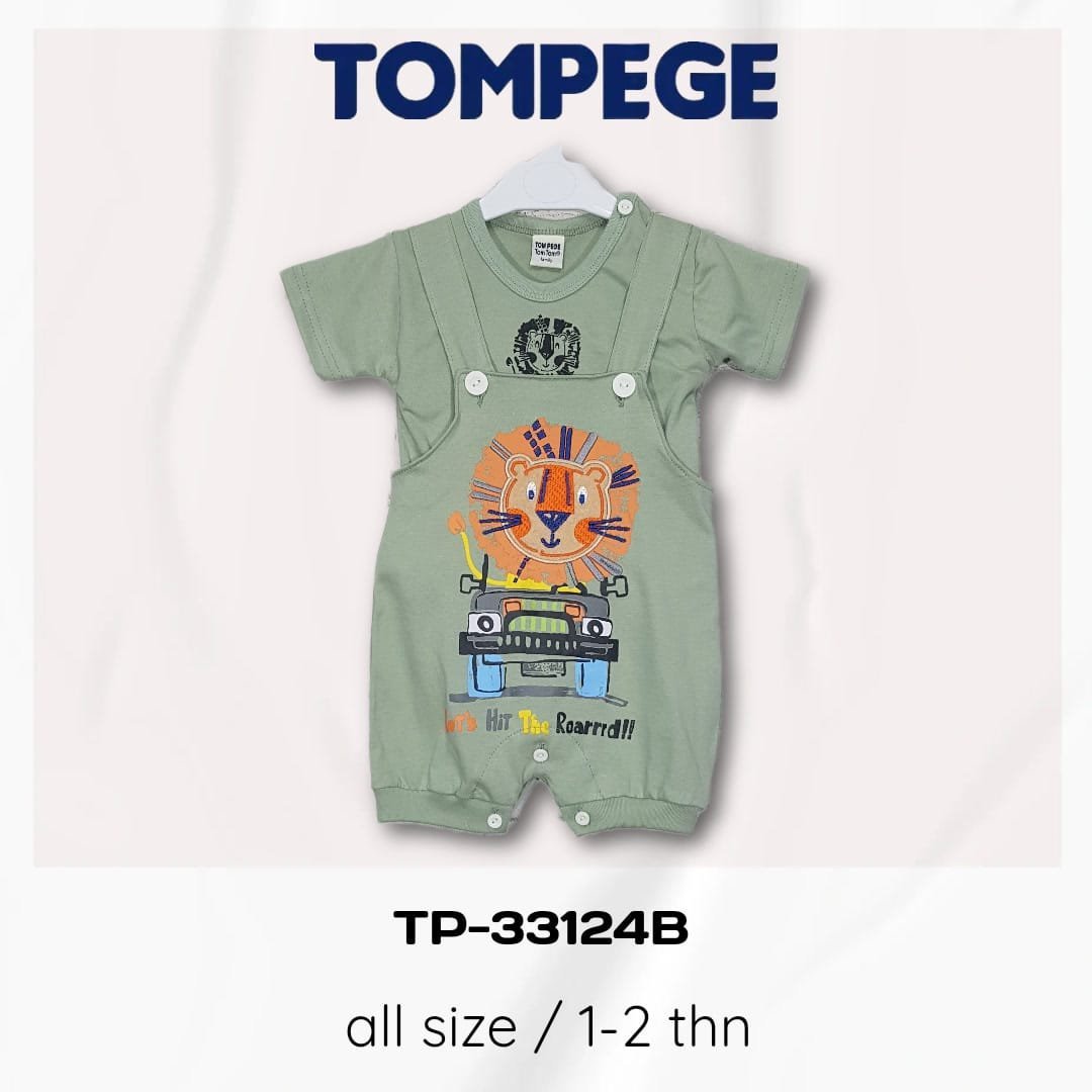 TP-33124B-H.jpeg
