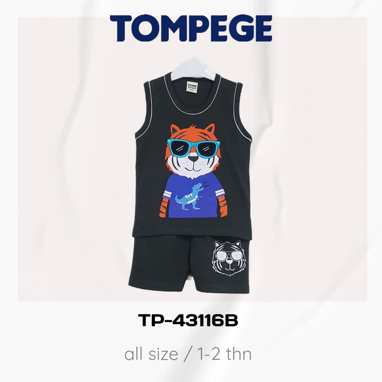 TP-43116B-AT.jpeg