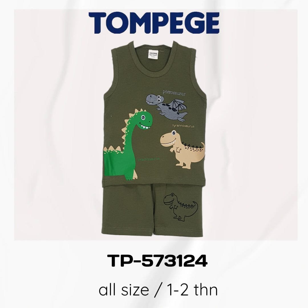 TP-573124-AR.jpeg