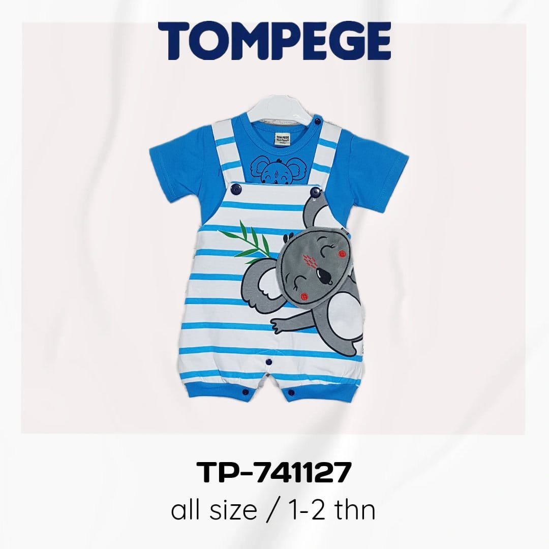 TP-741127-B.jpeg