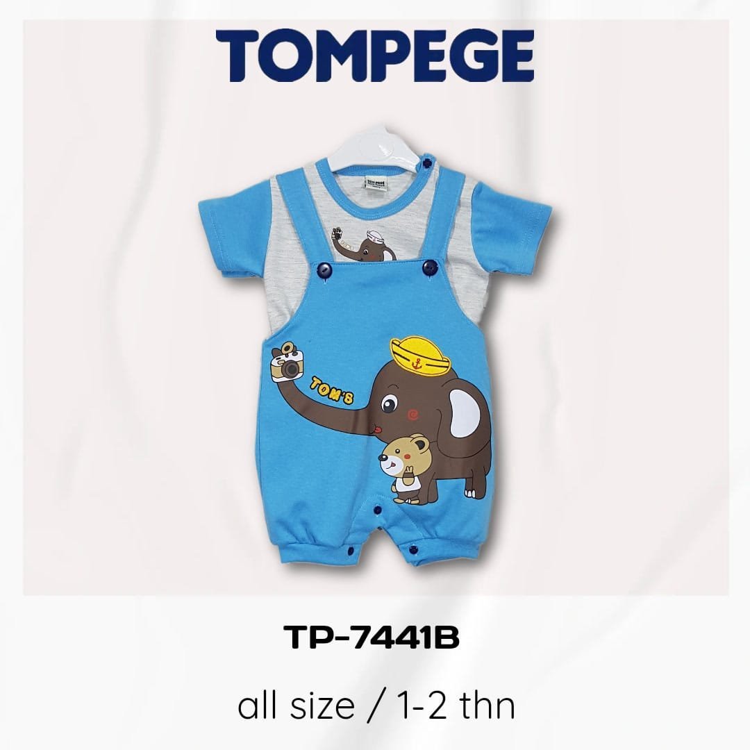 TP-7441B-B.jpeg