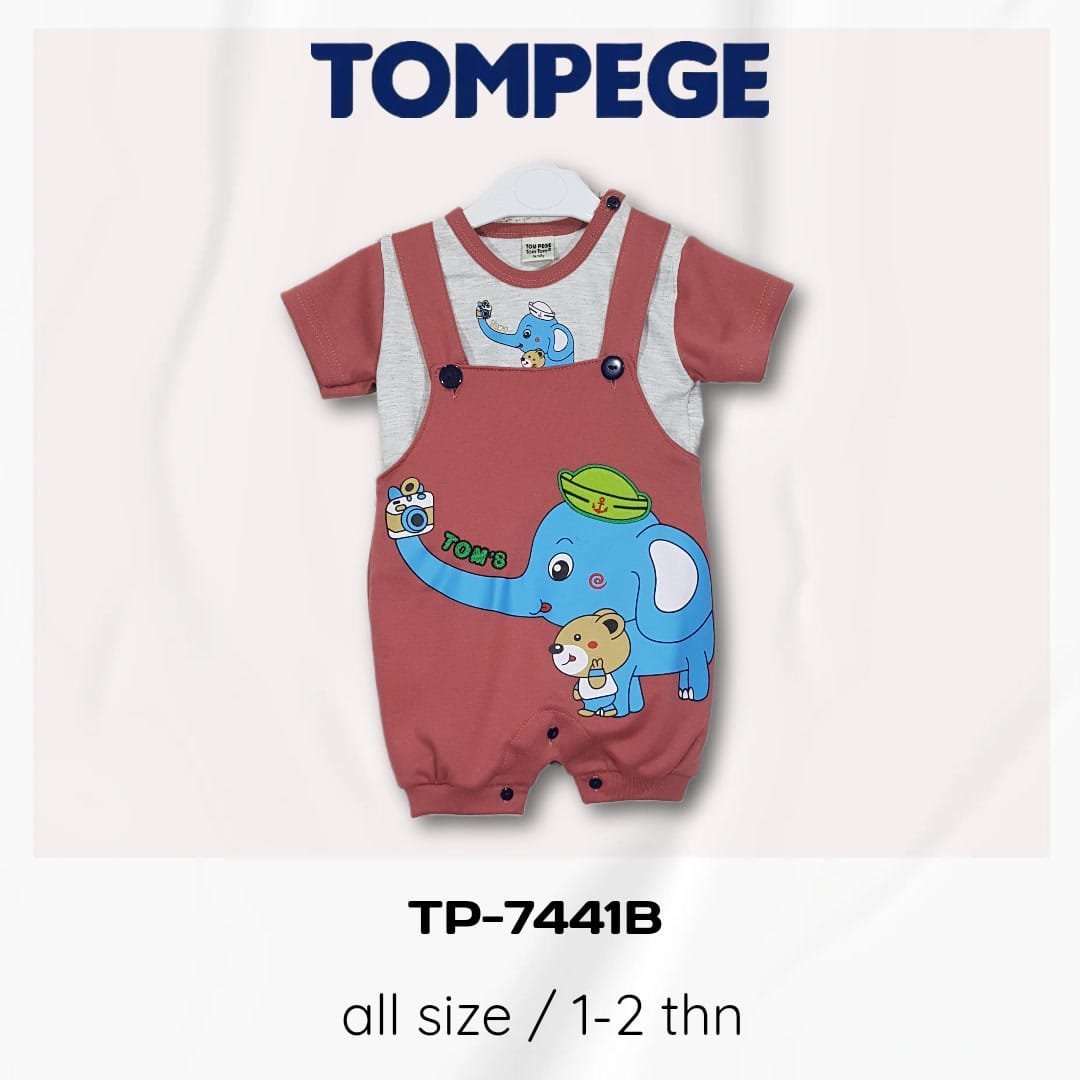 TP-7441B-S.jpeg