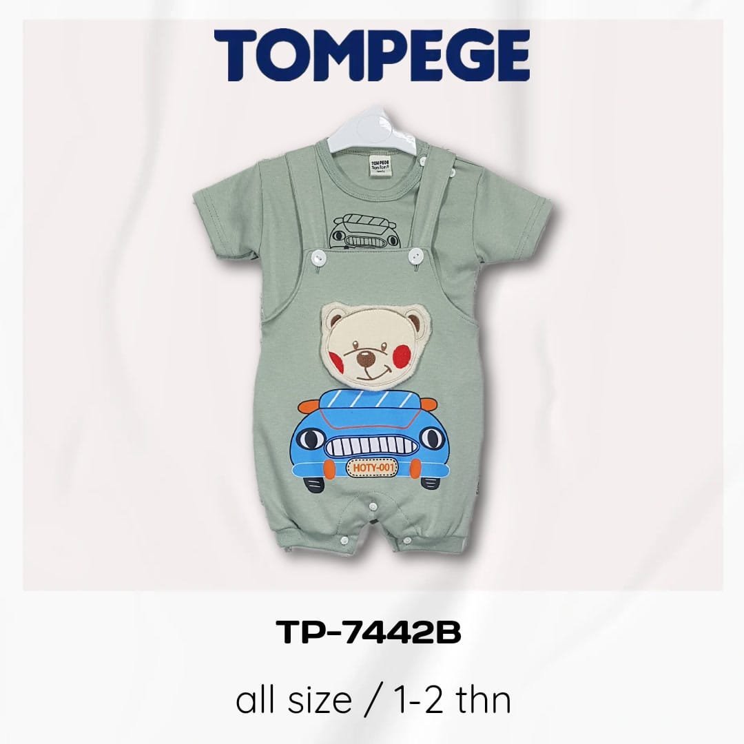 TP-7442B-H.jpeg