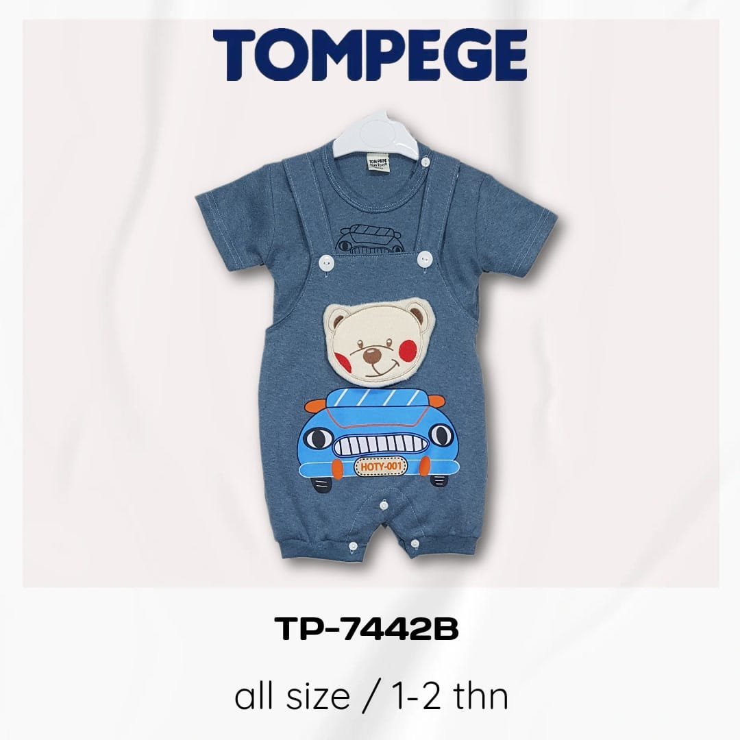 TP-7442B-N.jpeg