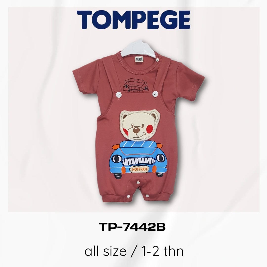 TP-7442B-S.jpeg