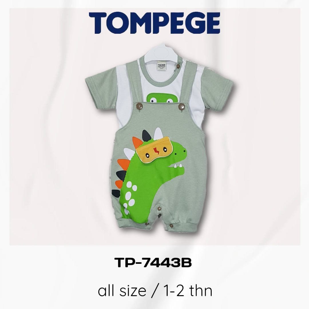 TP-7443B-H.jpeg