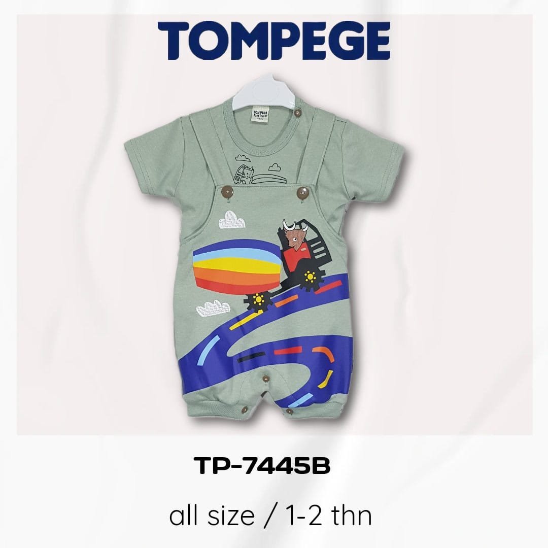TP-7445B-H.jpeg