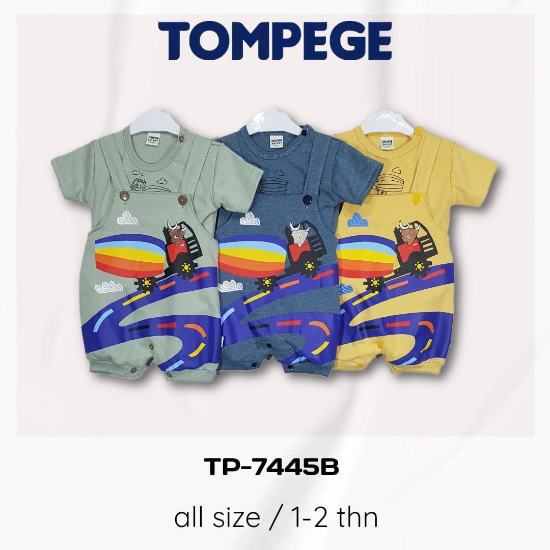 TP-7445B.jpeg