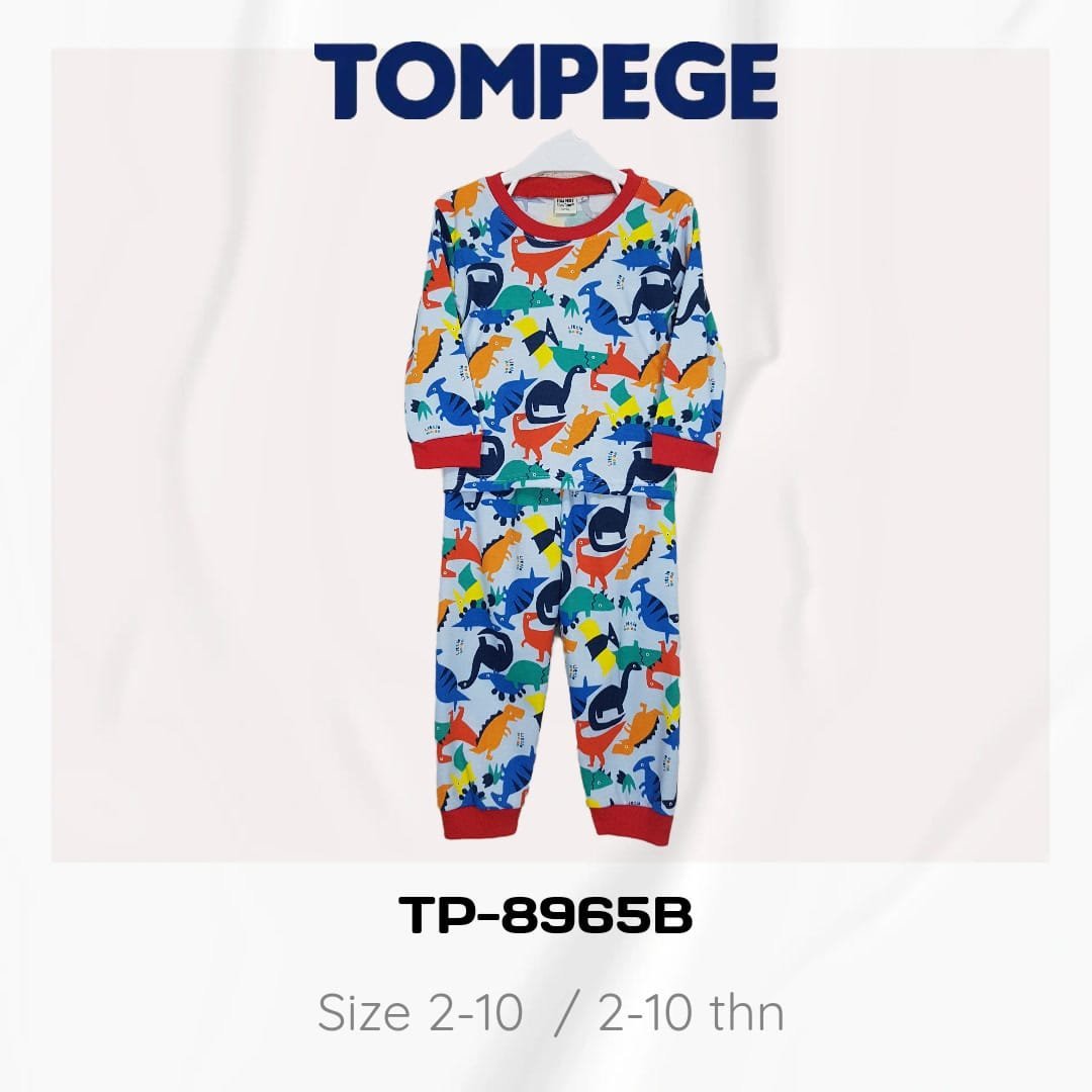 TP-8965B-B.jpeg