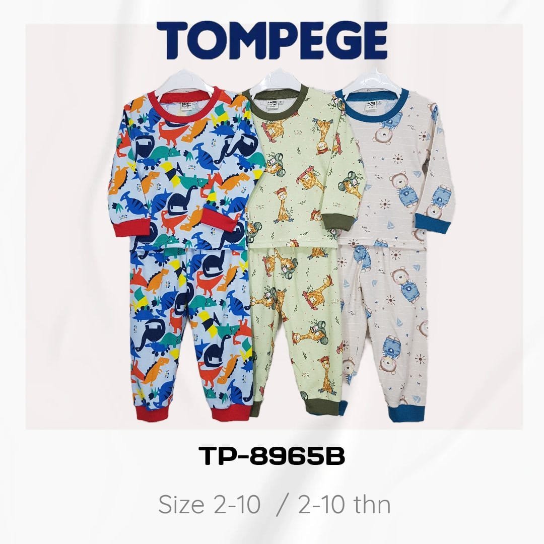 TP-8965B.jpeg