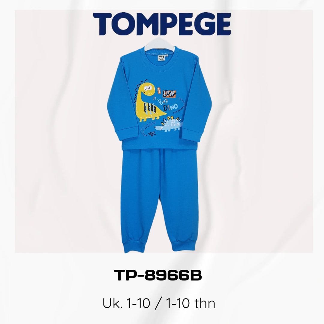 TP-8966-B.jpeg