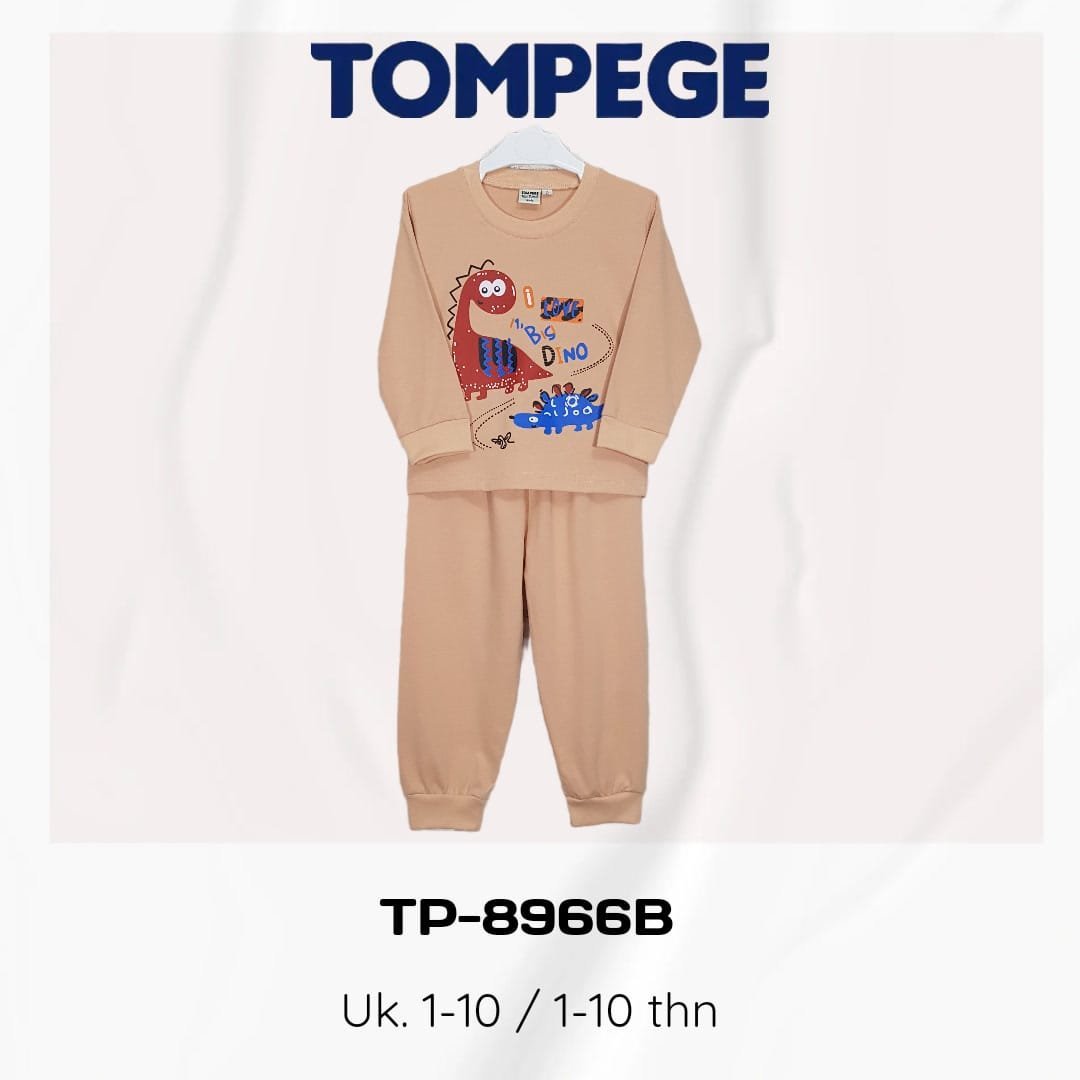 TP-8966B-C.jpeg