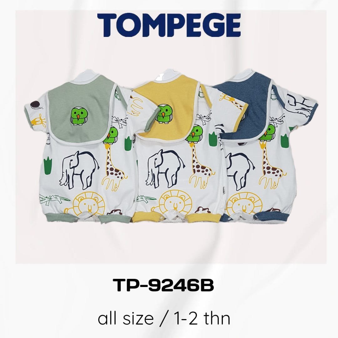 TP-9246B.jpeg