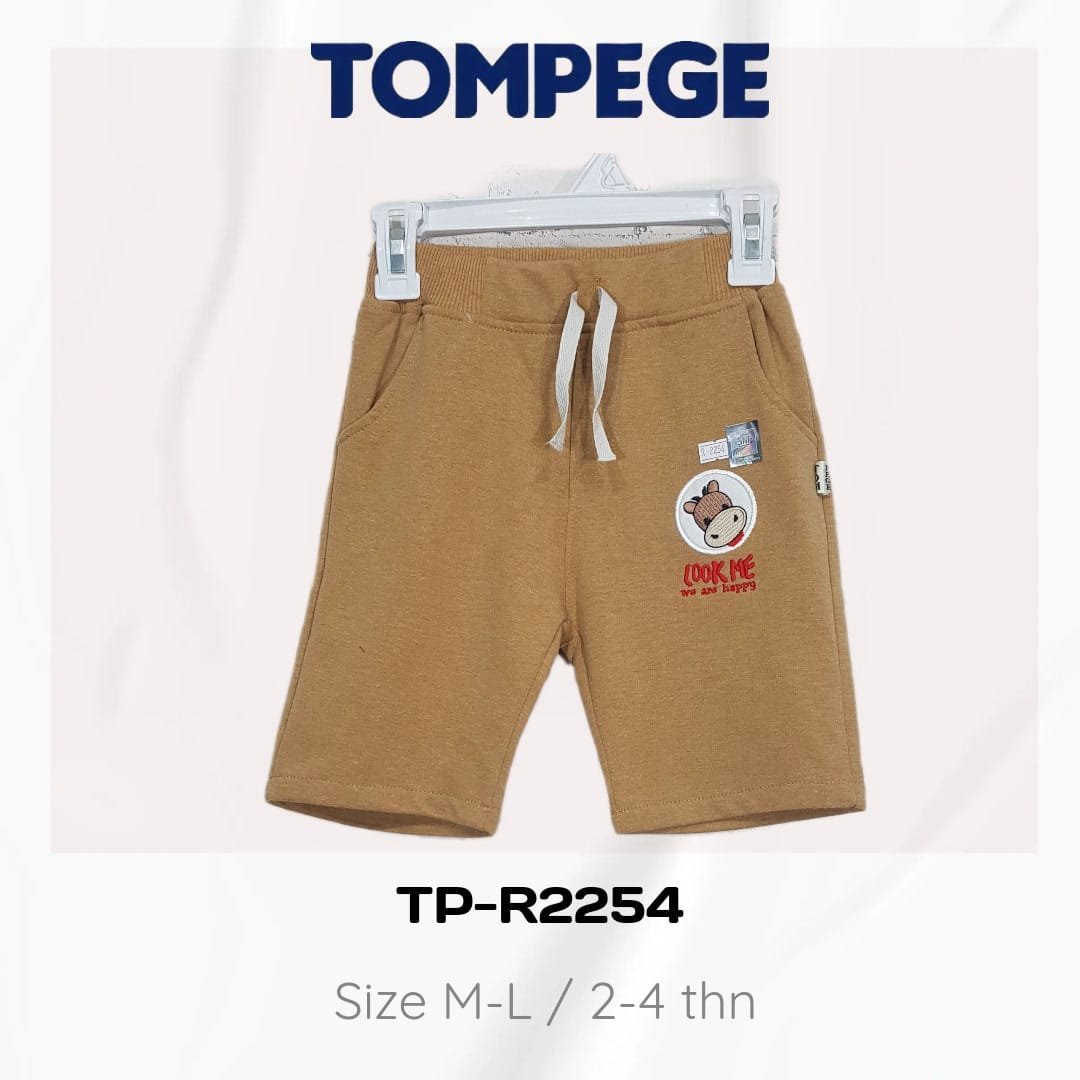 TP-R2254-C.jpeg