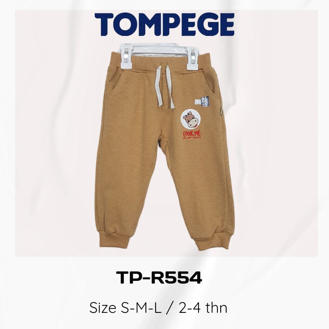 TP-R554-C.jpeg