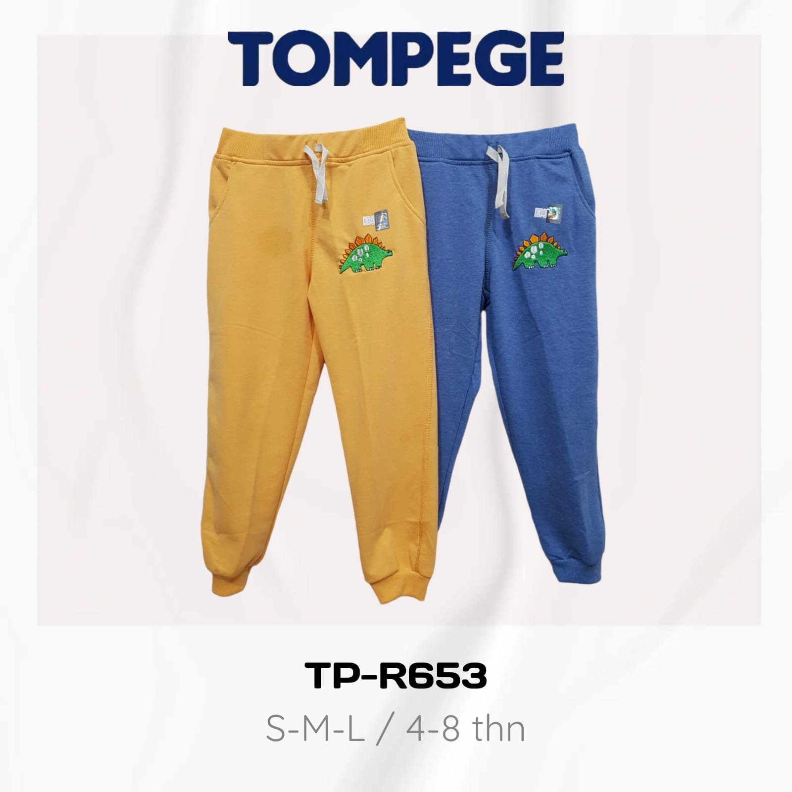 TP-R653.jpeg